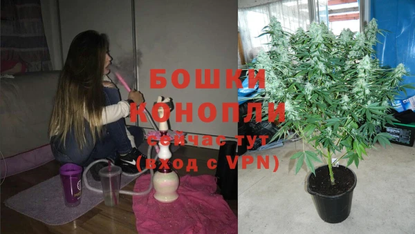прущие крисы Кодинск