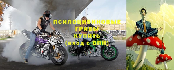 ГАЛЛЮЦИНОГЕННЫЕ ГРИБЫ Алексин